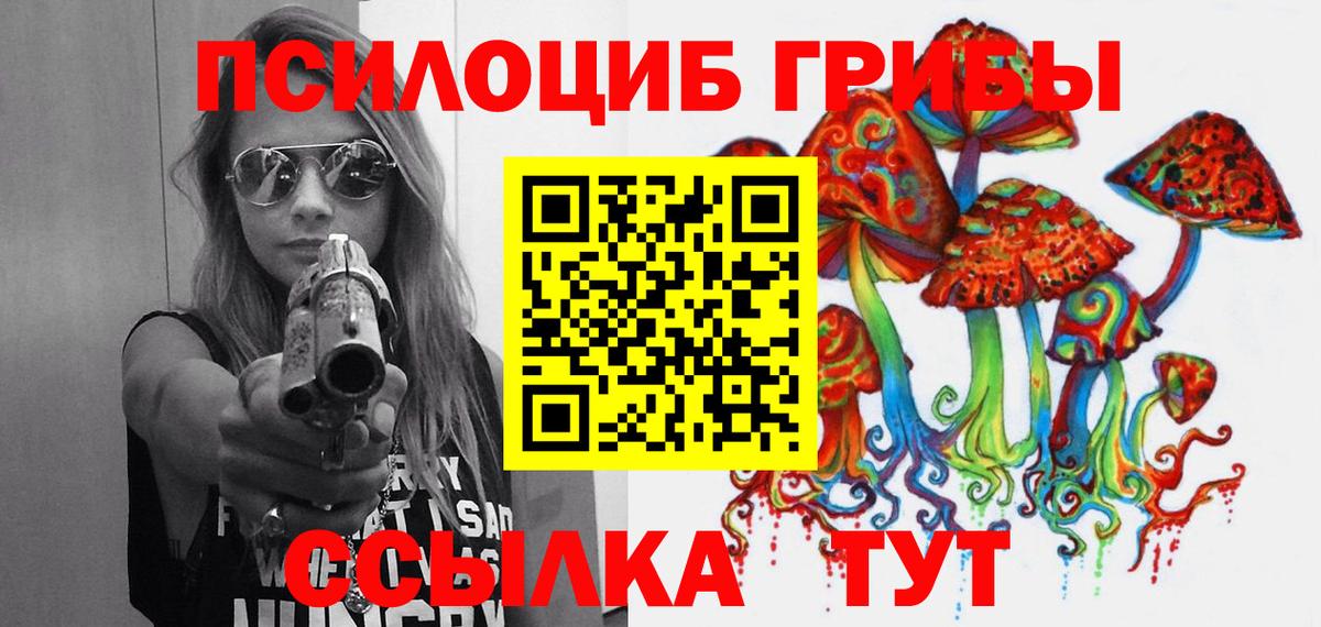 Галлюциногенные грибы Psilocybine cubensis Добрянка