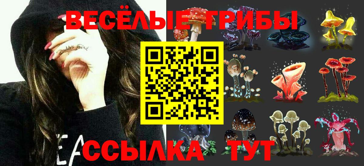 Галлюциногенные грибы MAGIC MUSHROOMS  Псилоцибиновые грибы мухоморы  Добрянка  Вход с VPN 